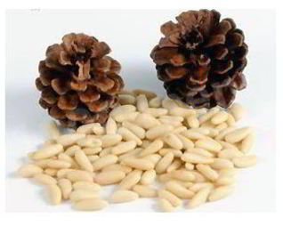 Кедровая настойка на орехах