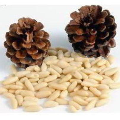 Кедровая настойка на орехах