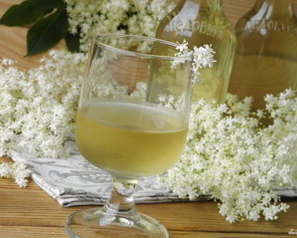 Настойка из бузины