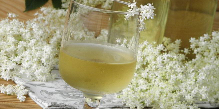 Рецепт настойки из бузины