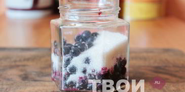 настойка из черники