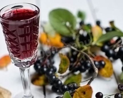 Настойка из черноплодной рябины на водке