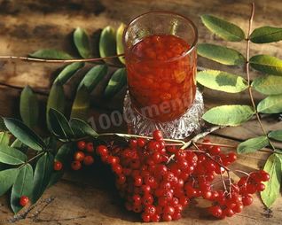 Настойка из красной рябины