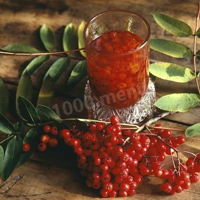 Настойка из красной рябины