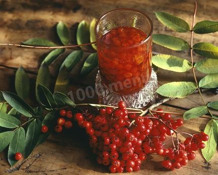 Настойка из красной рябины