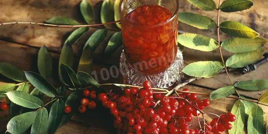 Рецепт настойки из красной рябины