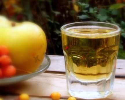 Настойка из облепихи