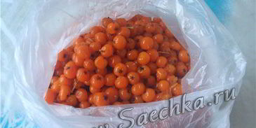 настойка из рябины