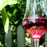 Рецепт Настойки из вишни на спирту Домашняя