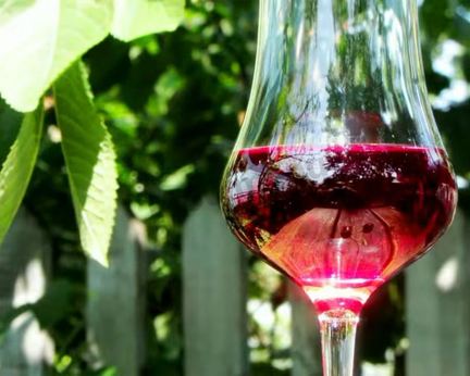 Настойка из вишни на спирту Домашняя