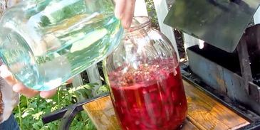 настойка из вишни на спирту домашняя