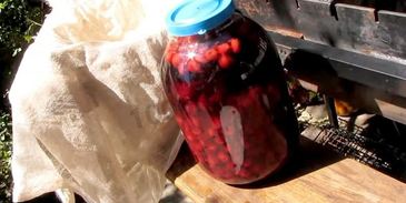 настойка из вишни на спирту домашняя