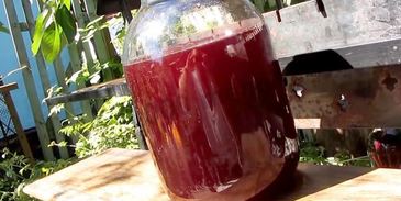 настойка из вишни на спирту домашняя