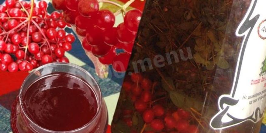 Рецепт настойки калина на спирту
