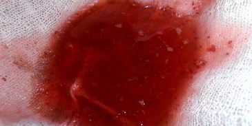 настойка клюковка