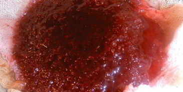 настойка клюковка