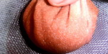 настойка клюковка