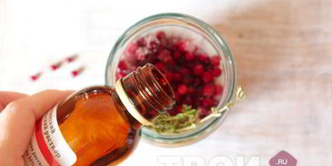 настойка на бруснике