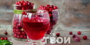 настойка на бруснике