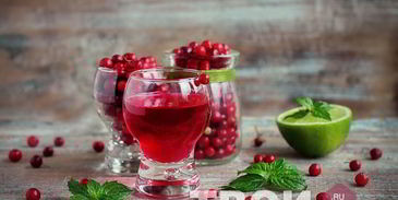 настойка на бруснике