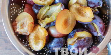 настойка на черносливе