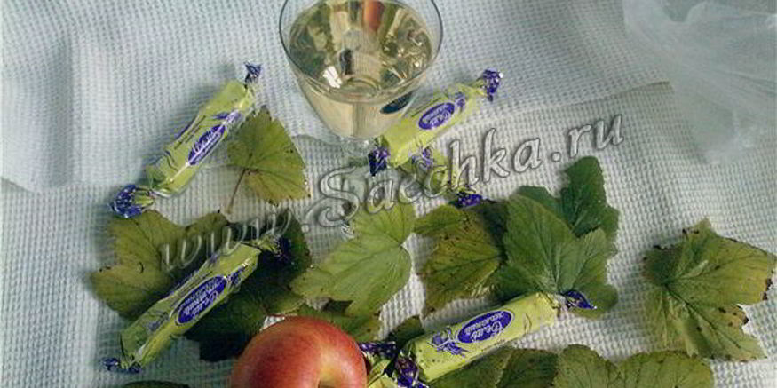 Рецепт настойки на листьях смородины осенний поцелуй