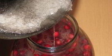 настойка на самогоне