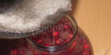 настойка на северной клюкве