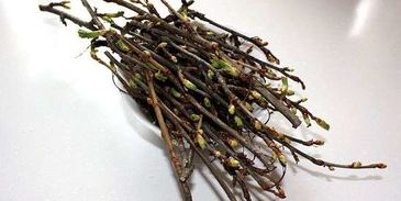 настойка на смородиновых почках