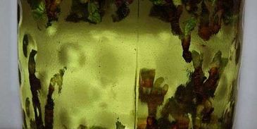 настойка на смородиновых почках