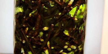 настойка на смородиновых почках