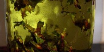 настойка на смородиновых почках