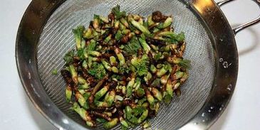 настойка на смородиновых почках