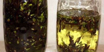 настойка на смородиновых почках