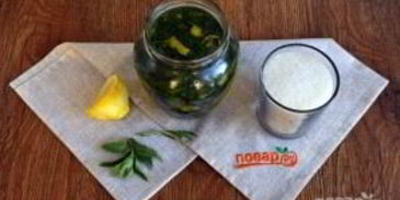 настойка на тархуне и мяте