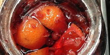 настойка несмеяновка женская