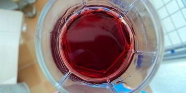 настойка несмеяновка женская