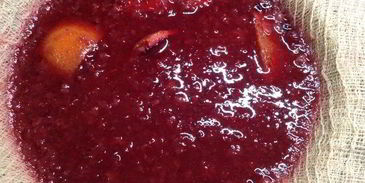 настойка несмеяновка женская