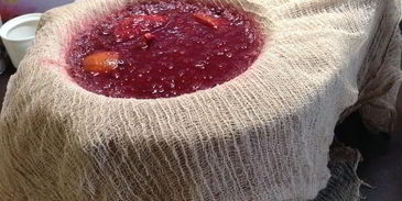 настойка несмеяновка женская