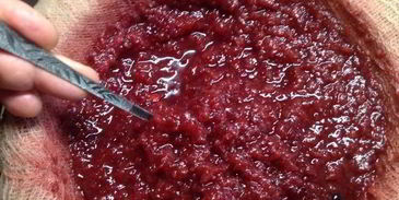 настойка несмеяновка женская