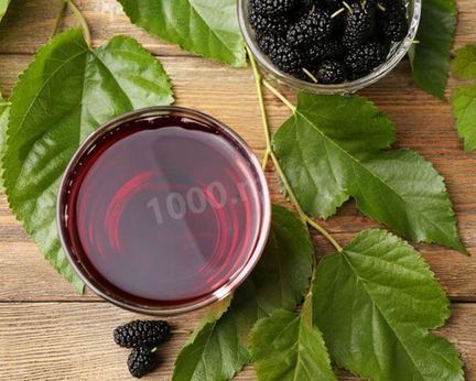 Настойка шелковицы