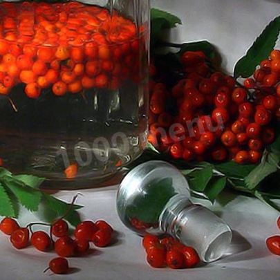 Рябиновая настойка из рябины на водке