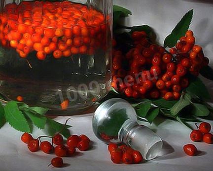 Рябиновая настойка из рябины на водке