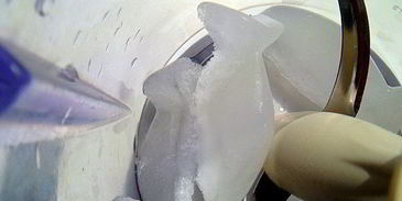 коктейль antiсангрия