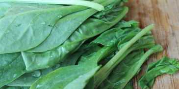 напиток зеленый смузи