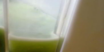 овощной сок зеленый