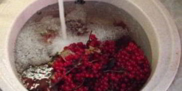 сок из калины