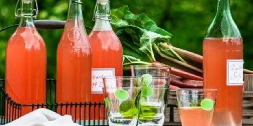 Рецепт сока из ревеня