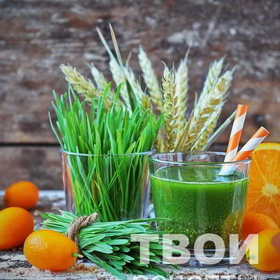 Сок из ростков пшеницы