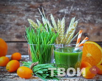 Сок из ростков пшеницы